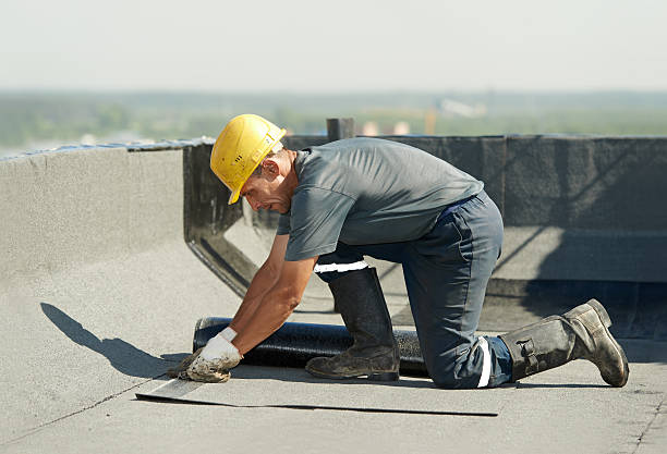 Best Cellulose Insulation in Miller Place, NY